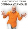 Аватара пользователя
