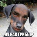 Аватара пользователя