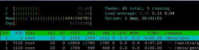 htop_1.jpg